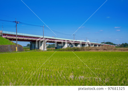Onaribashi, the widest river in Japan Autumn scenery, Yoshimicho, Konosu city 97681325