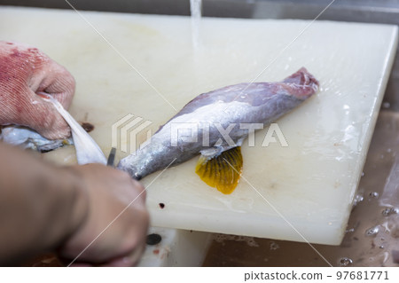 Fugu cooking 97681771