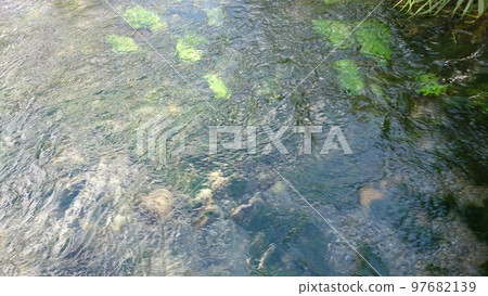 秋天的安曇野伊戀之池公園風景 97682139