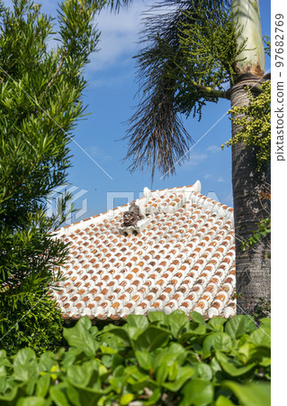 被供奉在紅色琉球瓦和白色灰泥屋頂上的風獅爺，竹富島，重要傳統建築群保存地區 97682769