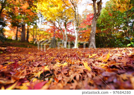 Autumn leaves of Yamadera Temple in Kyoto, the approach to the approach of fallen leaves of Japanese maple, low angle 97684280