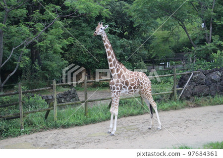 糸津森林公園, 北九州, 動物園 97684361