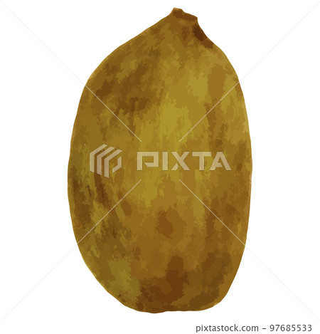 奇異果與皮膚的水彩插圖 奇異果與皮膚的水彩插圖 97685533