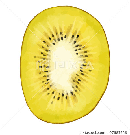 金色奇異果橫截面的水彩風格插圖 97685538