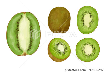 各種奇異果的水彩風格插圖集 97686297