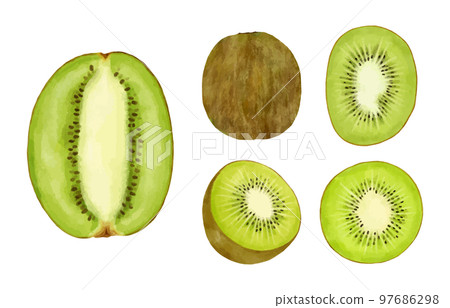 各種奇異果的水彩風格插圖集 97686298