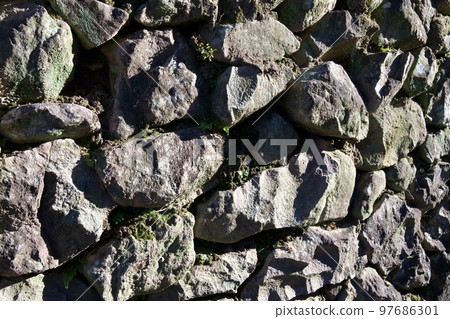 Image of Ishigaki Image of Ishigaki 97686301