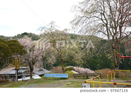 安之之裡公園 2022-4-17 #20 安之之裡公園 2022-4-17 #20 97687116