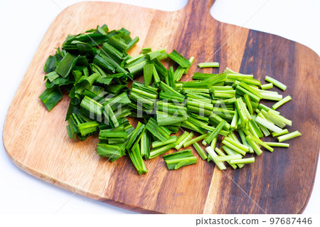 Culantro or sawtooth coriander on cutting board on white background. 97687446