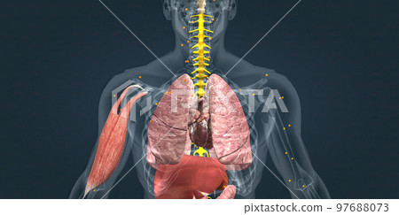 Adrenaline alarm reaction At this stage, your body sends a distress signal to your brain. Adrenaline alarm reaction At this stage, your body sends a distress signal to your brain. 97688073