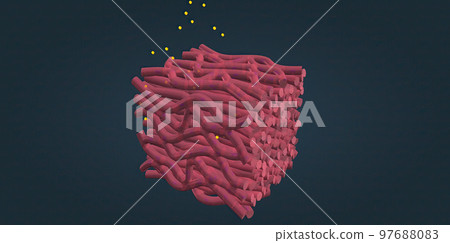 Cardiomyocytes are the individual cells that make up the cardiac muscle Cardiomyocytes are the individual cells that make up the cardiac muscle 97688083