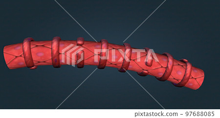 muscle that performs automatic tasks such as constricting blood vessels. 97688085