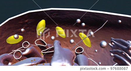 Vasoconstriction is the narrowing of blood vessels by small muscles in their walls. 97688087