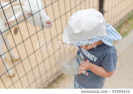 2-years-old, younger, baby boy 97689420