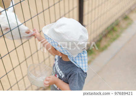 2-years-old, younger, baby boy 97689421