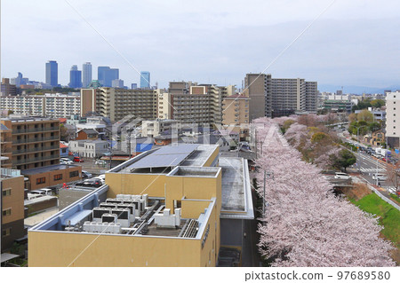 名古屋市北區黑川沿岸的櫻花樹 97689580
