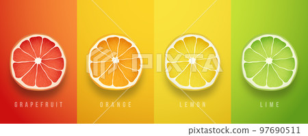 Grapefruit, orange, lemon and lime fresh fruits. 97690511