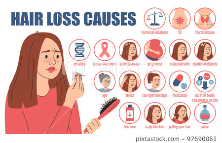 Hair loss causes infographic vector isolated. Web banner Hair loss causes infographic vector isolated. Web banner 97690861