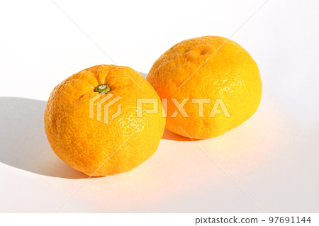 Yuzu (Yuzu) - Stock Photo [97691144] - PIXTA