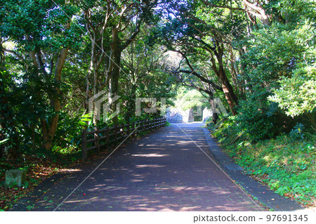 燈塔之路 / 潮尾岬燈塔（和歌山縣串本町） 97691345