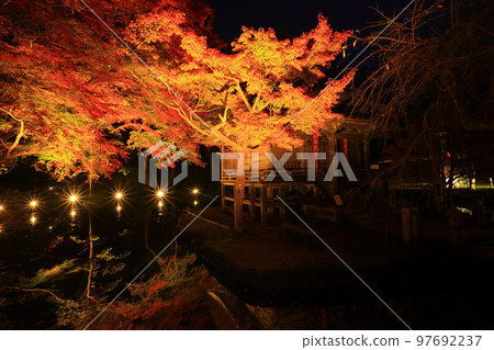 世界遺產中尊寺紅葉燈飾 世界遺產中尊寺紅葉燈飾 97692237
