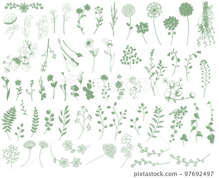 Hand-drawn line drawing flowers, leaves and plant material set 97692497