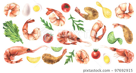 A large set with various shrimps, vegetables and ingredients. Watercolor illustration from the SHRIMP collection. For the design and decoration of menus, recipes, logo, cuisine, textiles. A large set with various shrimps, vegetables and ingredients. Watercolor illustration from the SHRIMP collection. For the design and decoration of menus, recipes, logo, cuisine, textiles. 97692915