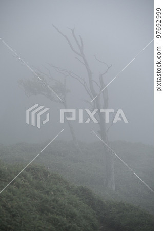 Hiking trail with fog Hiking trail with fog 97692999