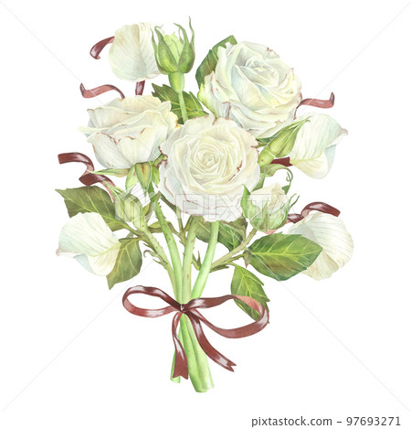 Bouquet of white roses with red ribbons and a bow. Watercolor illustration.Isolated on a white background.For design of sticker, greeting card, wedding invitation, packaging of perfume, candles Bouquet of white roses with red ribbons and a bow. Watercolor illustration.Isolated on a white background.For design of sticker, greeting card, wedding invitation, packaging of perfume, candles 97693271