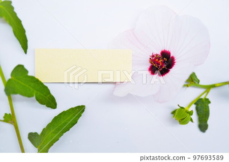 Mockup of a yellow title card decorated with cute flowers and green leaves on a white background 97693589