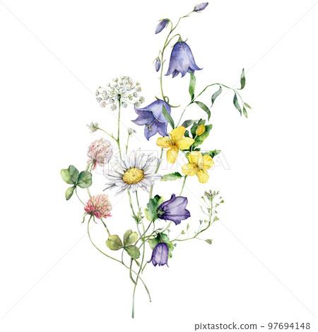 Watercolor meadow flowers bouquet of chamomile, clover and campanula. Hand painted floral poster of wildflowers isolated on white background. Holiday Illustration for design, print, background. 97694148