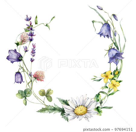 Watercolor meadow flowers wreath of chamomile, campanula, clover and celandine. Hand painted floral card of wildflowers isolated on white background. Illustration for design, print, background. 97694151