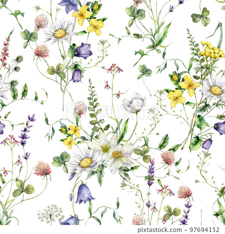 Watercolor meadow flowers seamless pattern of chamomile, buttercup, tansy and campanula. Hand painted floral illustration isolated on white background. For design, print, fabric or background. 97694152
