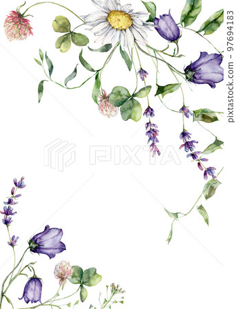 Watercolor meadow flowers border of campanula, chamomile, and lavender. Hand painted floral frame of wildflowers isolated on white background. Holiday Illustration for design, print or background. 97694183