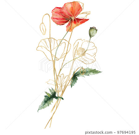 Watercolor meadow flowers bouquet of linear poppy and carnation. Hand painted floral gold poster of wildflowers isolated on white background. Holiday Illustration for design, print, background. 97694195