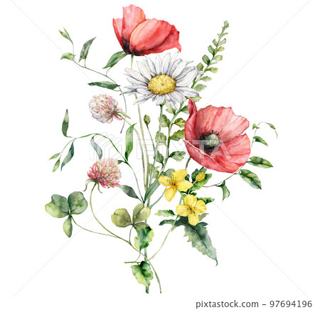Watercolor meadow flowers bouquet of poppy, chamomile, clover and geranium. Hand painted floral poster of wildflowers isolated on white background. Holiday Illustration for design, print, background. 97694196