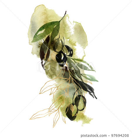 Watercolor card of black olives, gold branches and linear leaves. Hand painted nature composition isolated on white background. Plants illustration for design, print, fabric or background. Watercolor card of black olives, gold branches and linear leaves. Hand painted nature composition isolated on white background. Plants illustration for design, print, fabric or background. 97694208