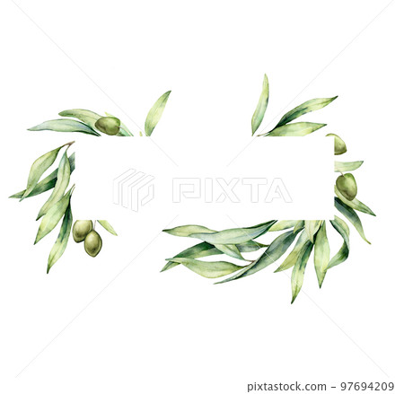 Watercolor horizontal frame of green olives and branches. Hand drawn border of leaves and berries isolated on white background. Minimalistic plant illustration for design, print, fabric or background. Watercolor horizontal frame of green olives and branches. Hand drawn border of leaves and berries isolated on white background. Minimalistic plant illustration for design, print, fabric or background. 97694209