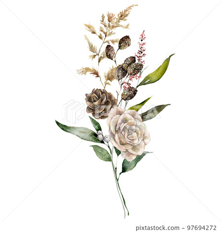 Watercolor Christmas bouquet of rose, pine cone, pampas grass and branches. Hand painted holiday card of alder berries isolated on white background. Holiday Illustration for design, print, background. Watercolor Christmas bouquet of rose, pine cone, pampas grass and branches. Hand painted holiday card of alder berries isolated on white background. Holiday Illustration for design, print, background. 97694272
