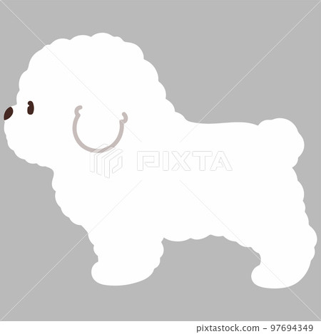Sideways simple and cute Bichon Frize illustration No main line Sideways simple and cute Bichon Frize illustration No main line 97694349