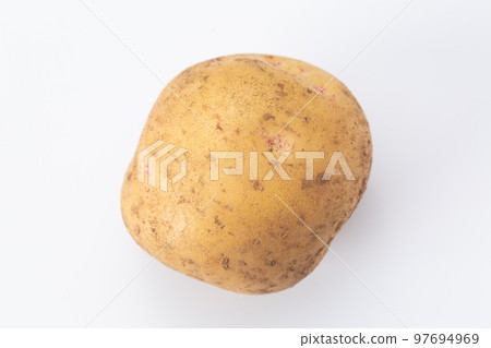 土豆 土豆 97694969