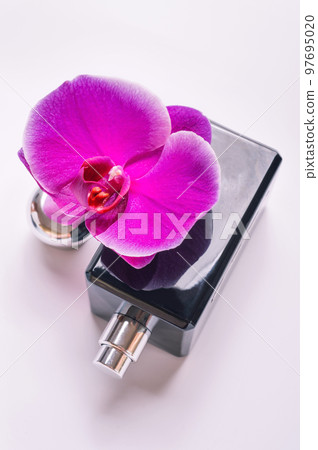 black fragrance bottle with purple orchid around white. flat lay black fragrance bottle with purple orchid around white. flat lay 97695020