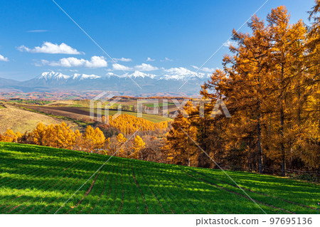 從五陵之丘看到的十勝岳連峰 97695136