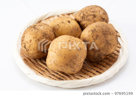 土豆 土豆 97695199