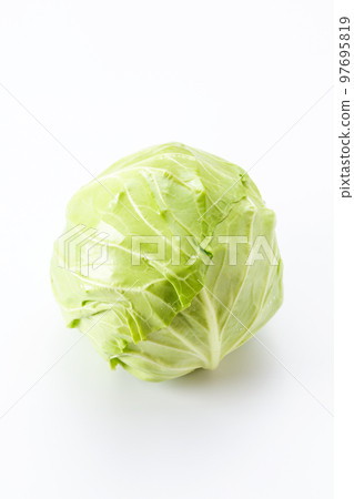 圓形綠球白菜 97695819