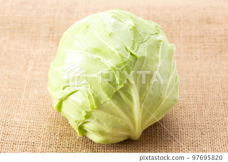 圓形綠球白菜 97695820