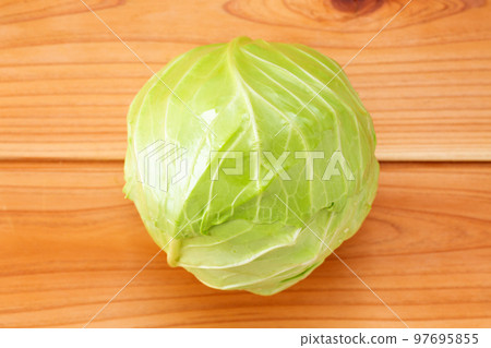 圓形綠球白菜 圓形綠球白菜 97695855