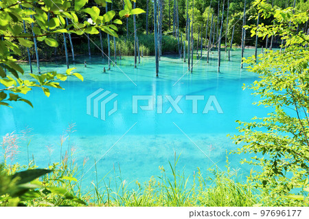 Hokkaido Fresh green and blue pond 97696177