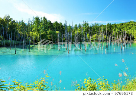 Blue sky and blue pond in Hokkaido summer 97696178
