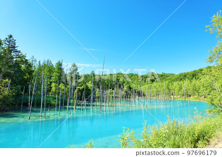 藍天和藍色池塘在北海道夏天 藍天和藍色池塘在北海道夏天 97696179